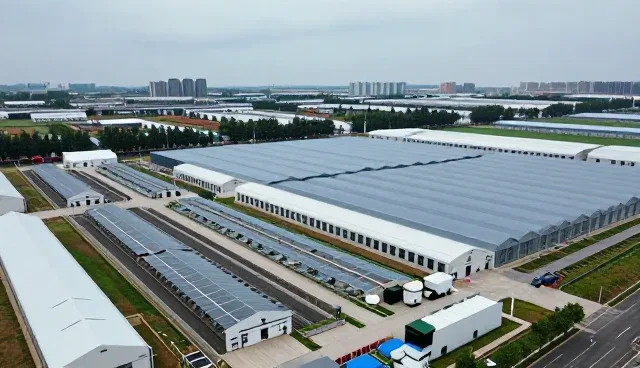 来料加工与来图定制融合下的服饰品质提升路径